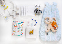 Load image into Gallery viewer, Night & Nap Standard Box