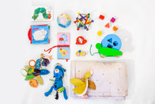 Load image into Gallery viewer, Toy Standard Box